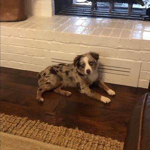 Meet your Posher, Denae